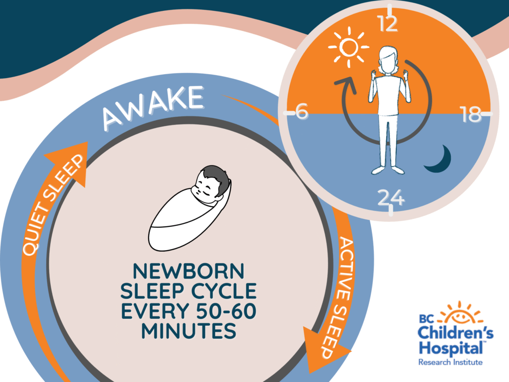 Newborn Sleep Patterns Explained Caring Newborn Trusted Tips & Care