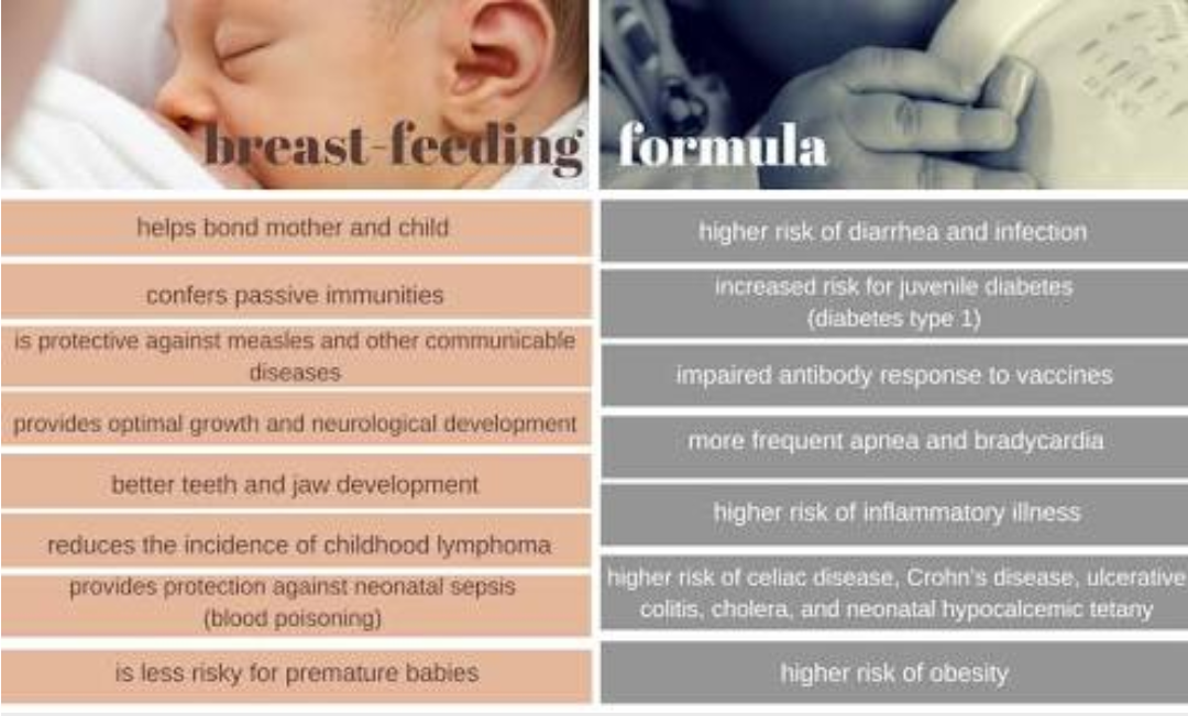 Breastfeeding vs Bottle Feeding: What’s Best?