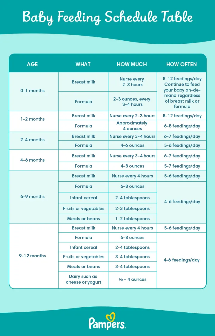 Newborn Feeding Schedule by Age